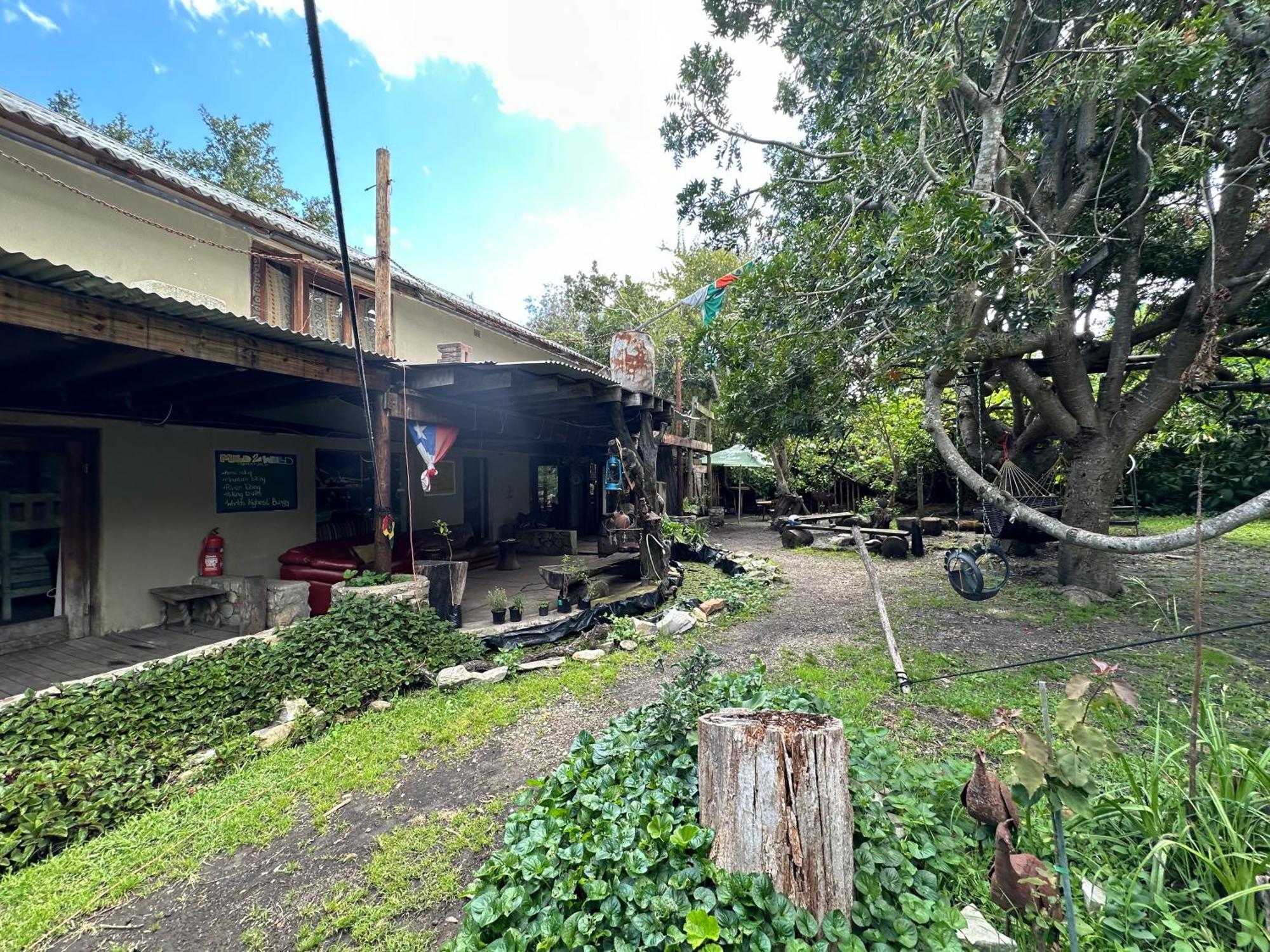 Stormsriver Backpackers Dijembe Stormsrivier Eksteriør bilde